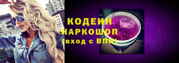 стафф Бородино