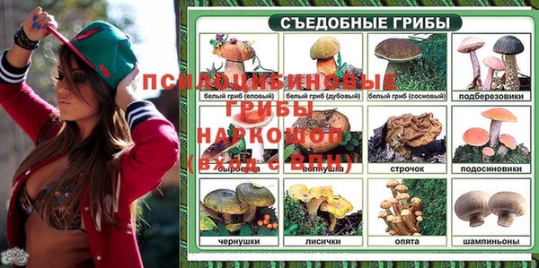 стафф Бородино