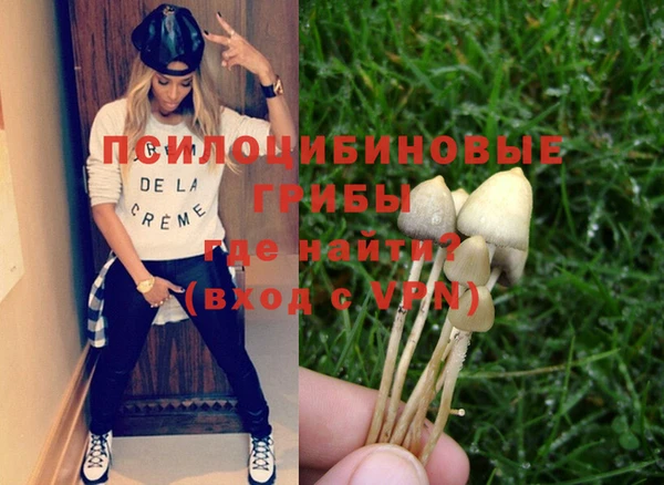 ПСИЛОЦИБИНОВЫЕ ГРИБЫ Бугульма