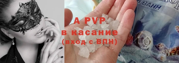 стафф Бородино