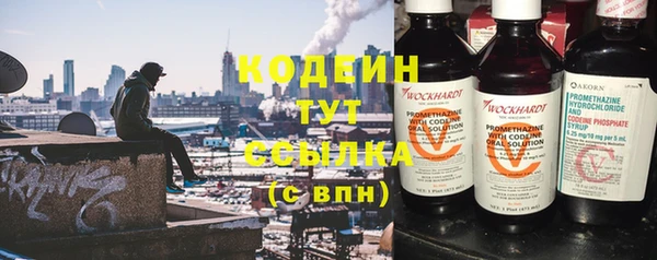 стафф Бородино