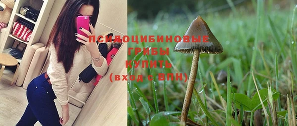ПСИЛОЦИБИНОВЫЕ ГРИБЫ Бугульма