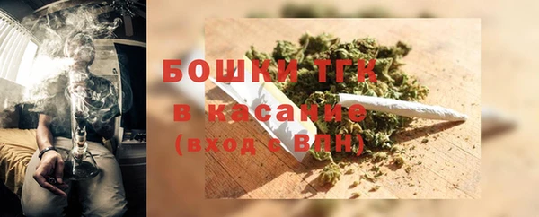 стафф Бородино