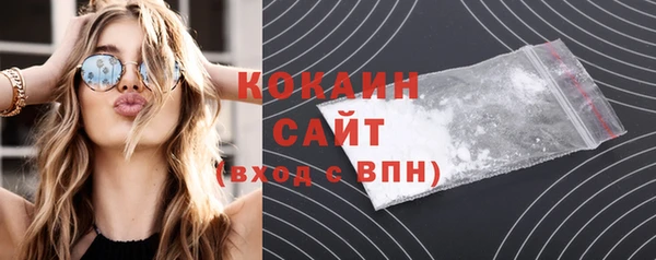 стафф Бородино
