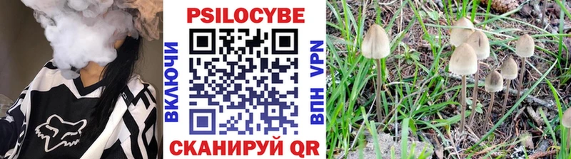 наркота  Киреевск  Псилоцибиновые грибы ЛСД 